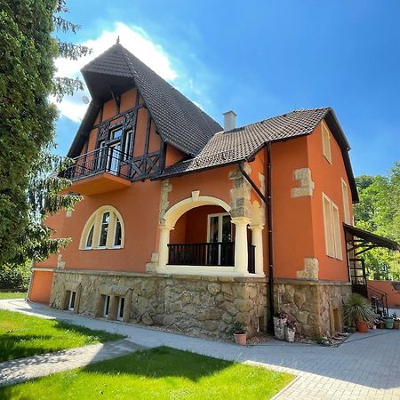 Penzion Villa Amelie Млада-Болеслав Экстерьер фото