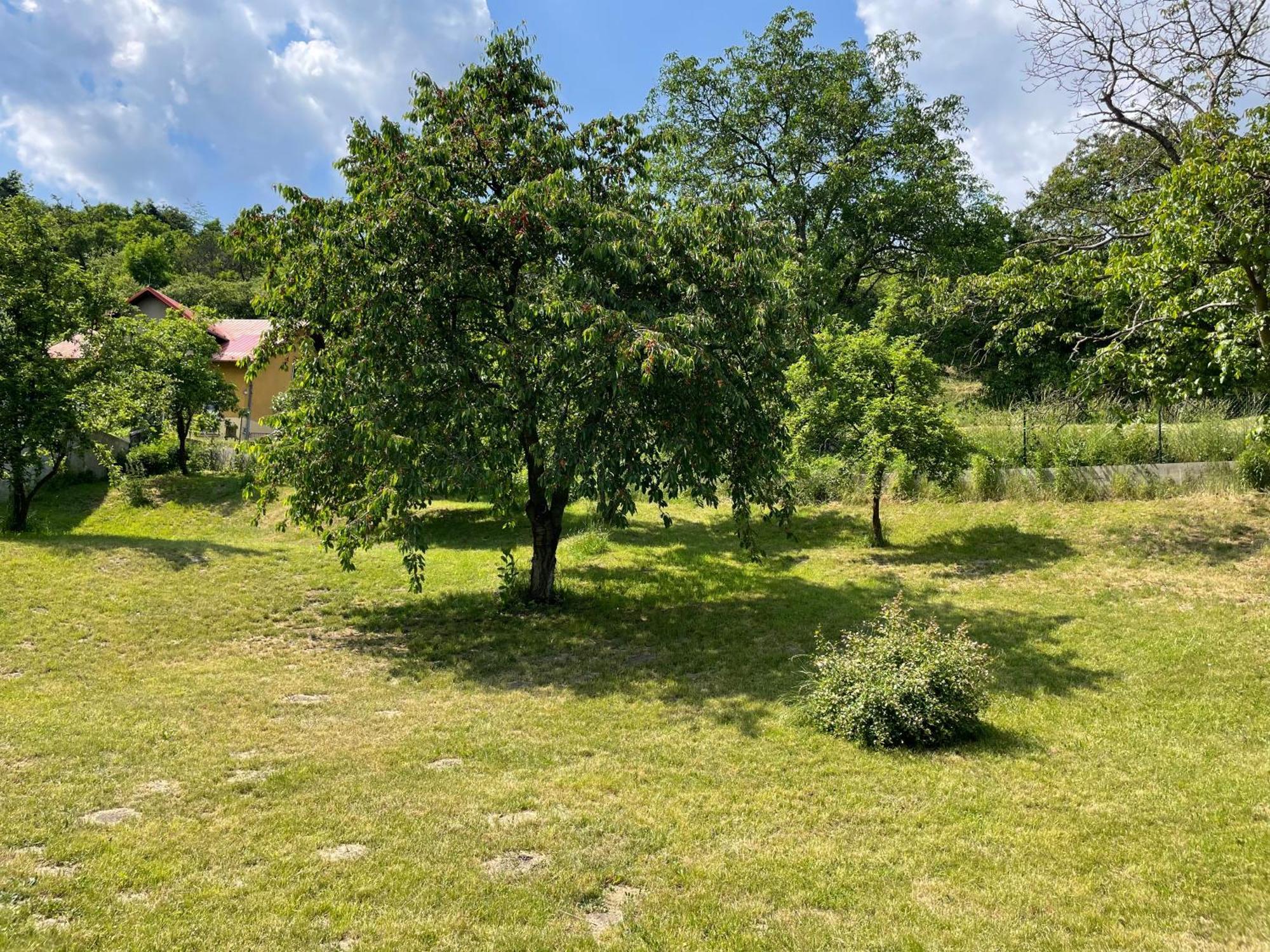 Penzion Villa Amelie Млада-Болеслав Экстерьер фото